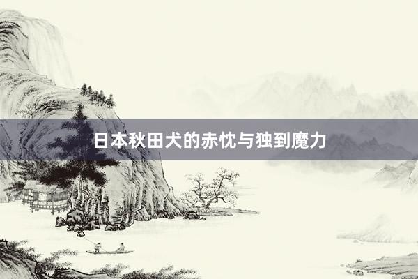 日本秋田犬的赤忱与独到魔力